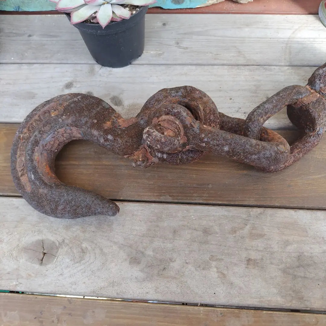 [Rust rust chain hook] Junk garden Dry garden Succulent