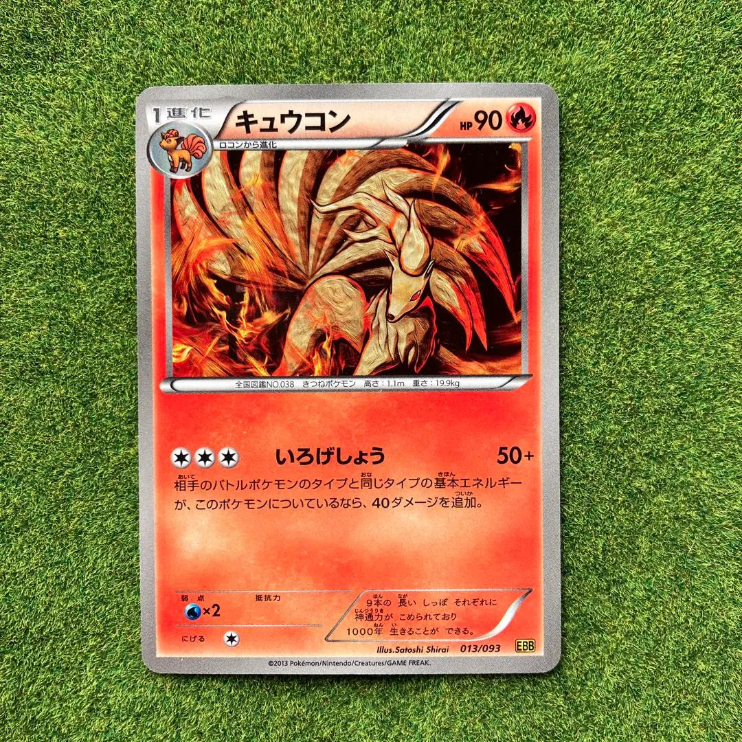 Pokemon Card Kyukon National Encyclopedia 038