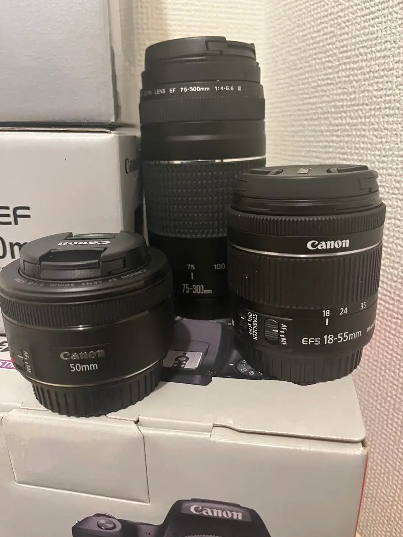 Canon EOS Rebel SL2 or Canon EOS Kiss X9