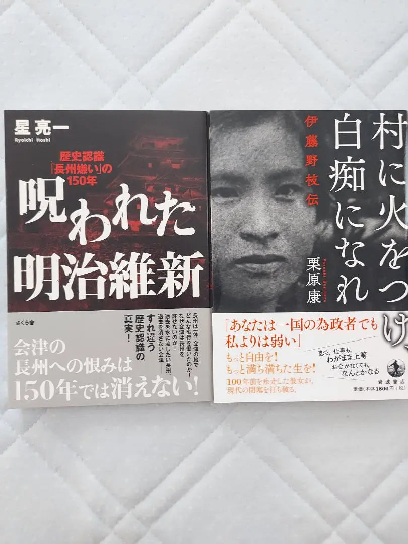 The Cursed Meiji Restoration: Set fire to the village and become an idiot - The Legend of Ito Noeda - Set of two books