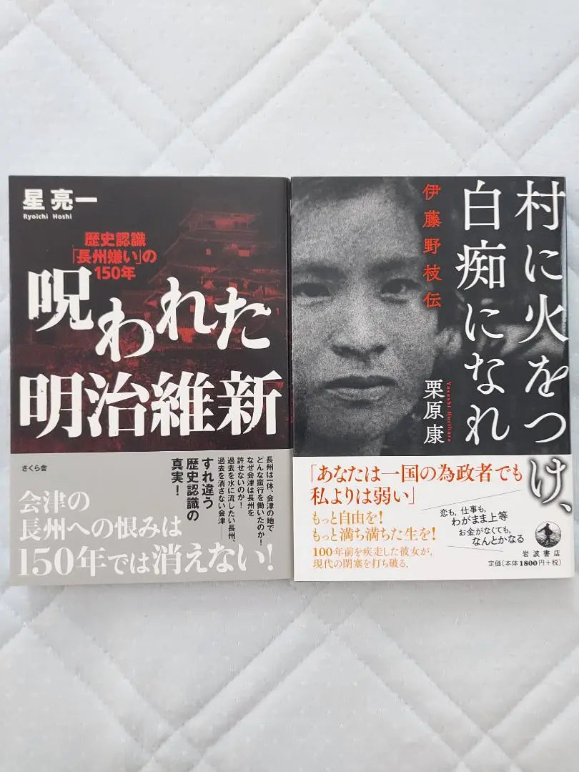 The Cursed Meiji Restoration: Set fire to the village and become an idiot - The Legend of Ito Noeda - Set of two books