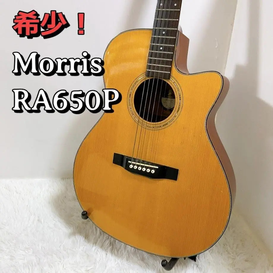 MORRIS RA650P Guitarra acústica de afrontamiento JAPAN RAMBLER | Morris RA650P 単板アコースティックギターjapón rambler