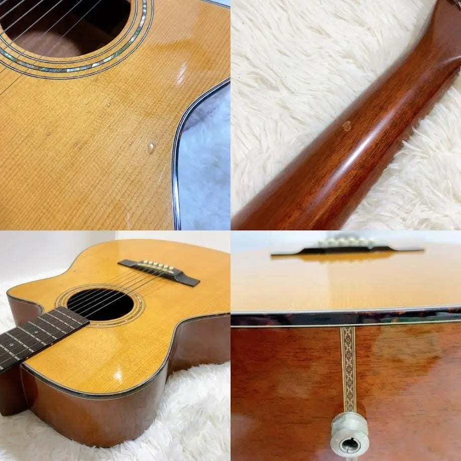 MORRIS RA650P Guitarra acústica de afrontamiento JAPAN RAMBLER | Morris RA650P 単板アコースティックギターjapón rambler