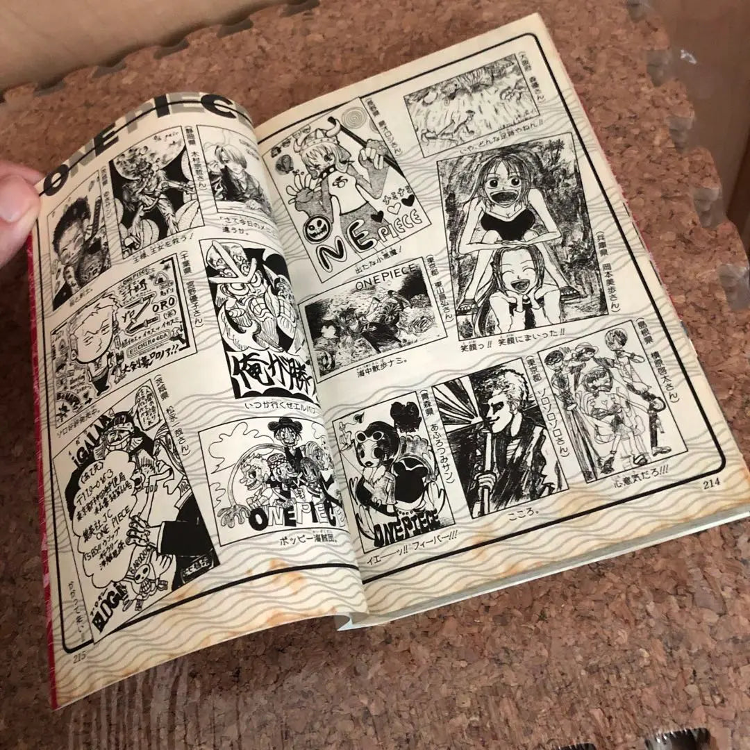 One Piece 15 Volume 15 First Edition | ワンピース １５巻　初版