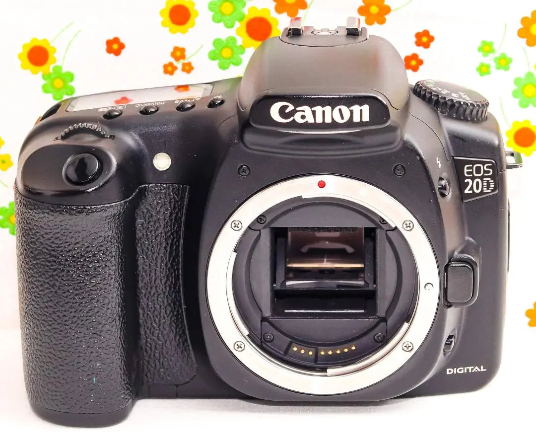 Canon Canon EOS 20D ☆ Transfer to smartphone ♪ ☆ Best high -spec machine ♪