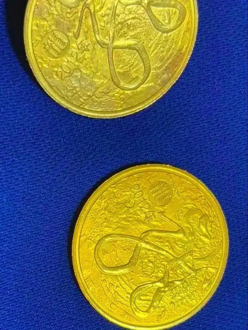 Dragon Design Gold Coin Set of 2