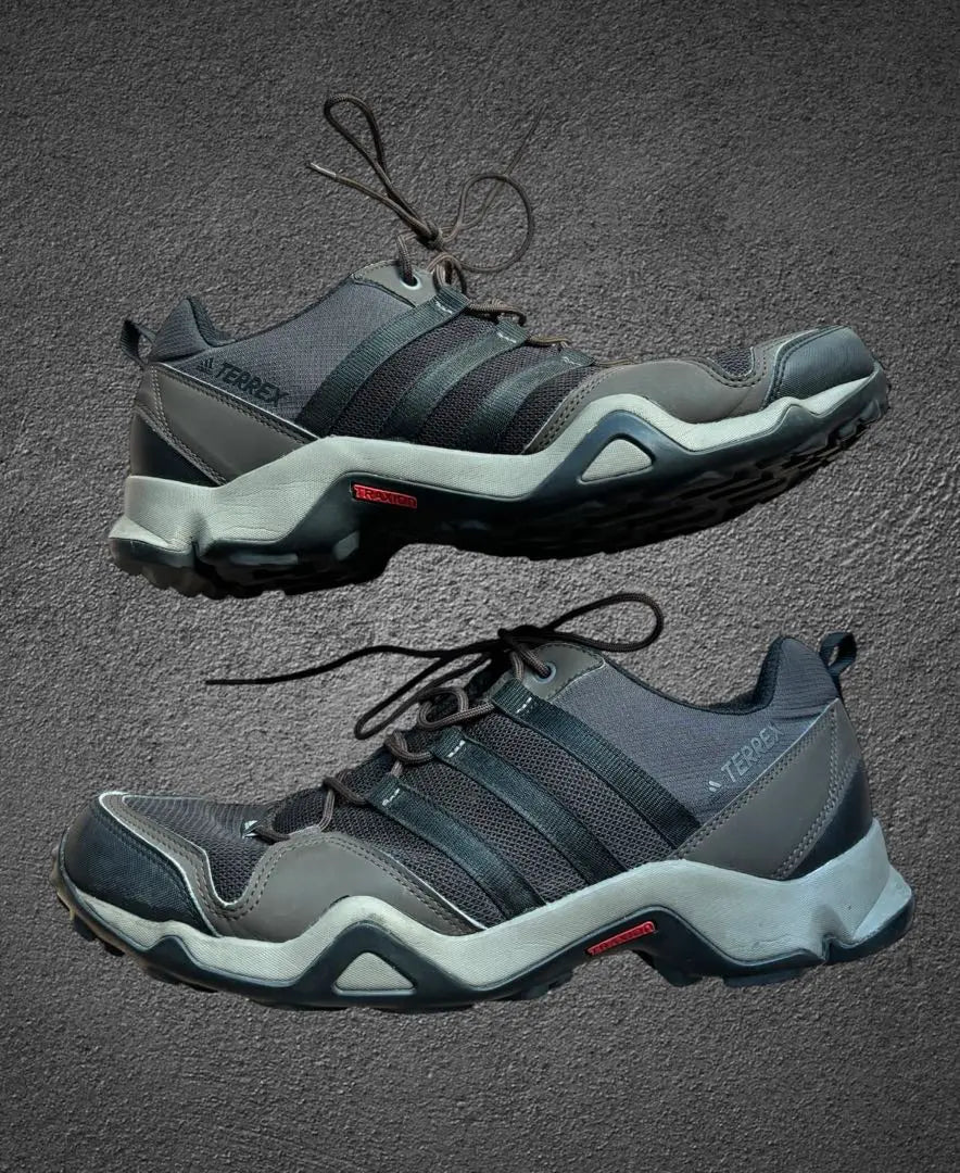 Adidas Trekking Shoes TERREX Brown