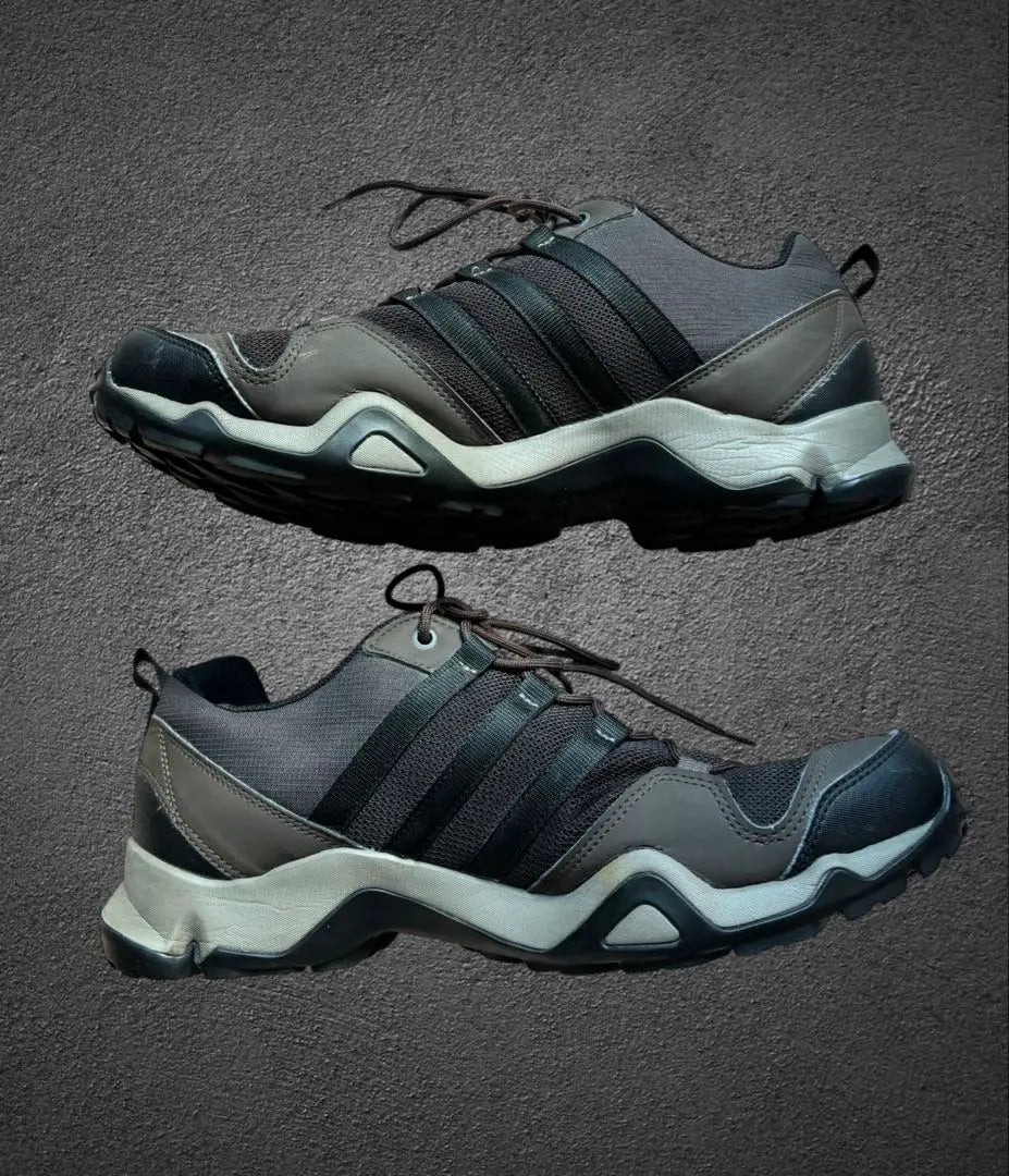 Adidas Trekking Shoes TERREX Brown