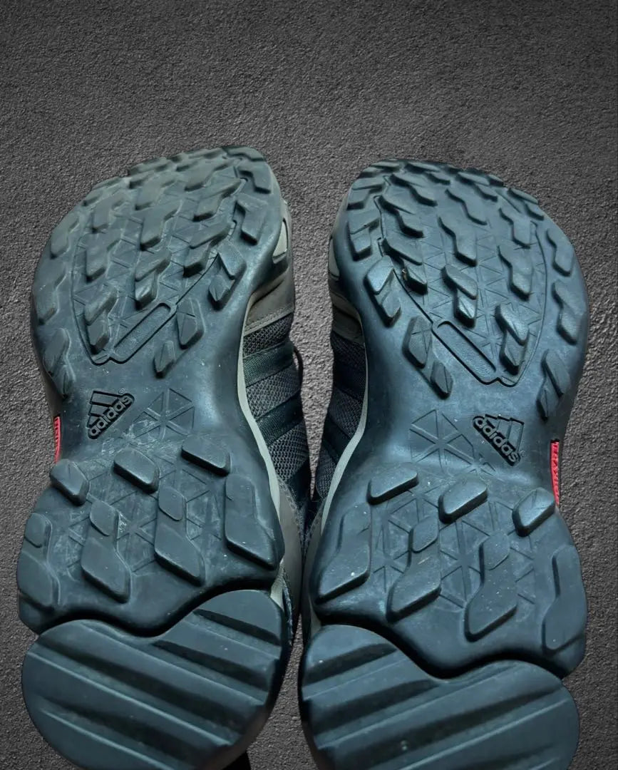 Adidas Trekking Shoes TERREX Brown