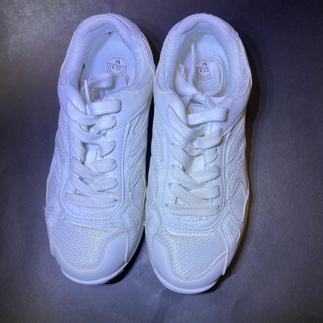 White mesh dodgeball shoes