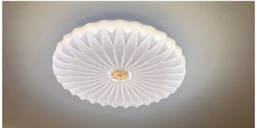 Starry sky effect 8 tatami 10 tatami ceiling light remote control lotus flower blooming in the heart