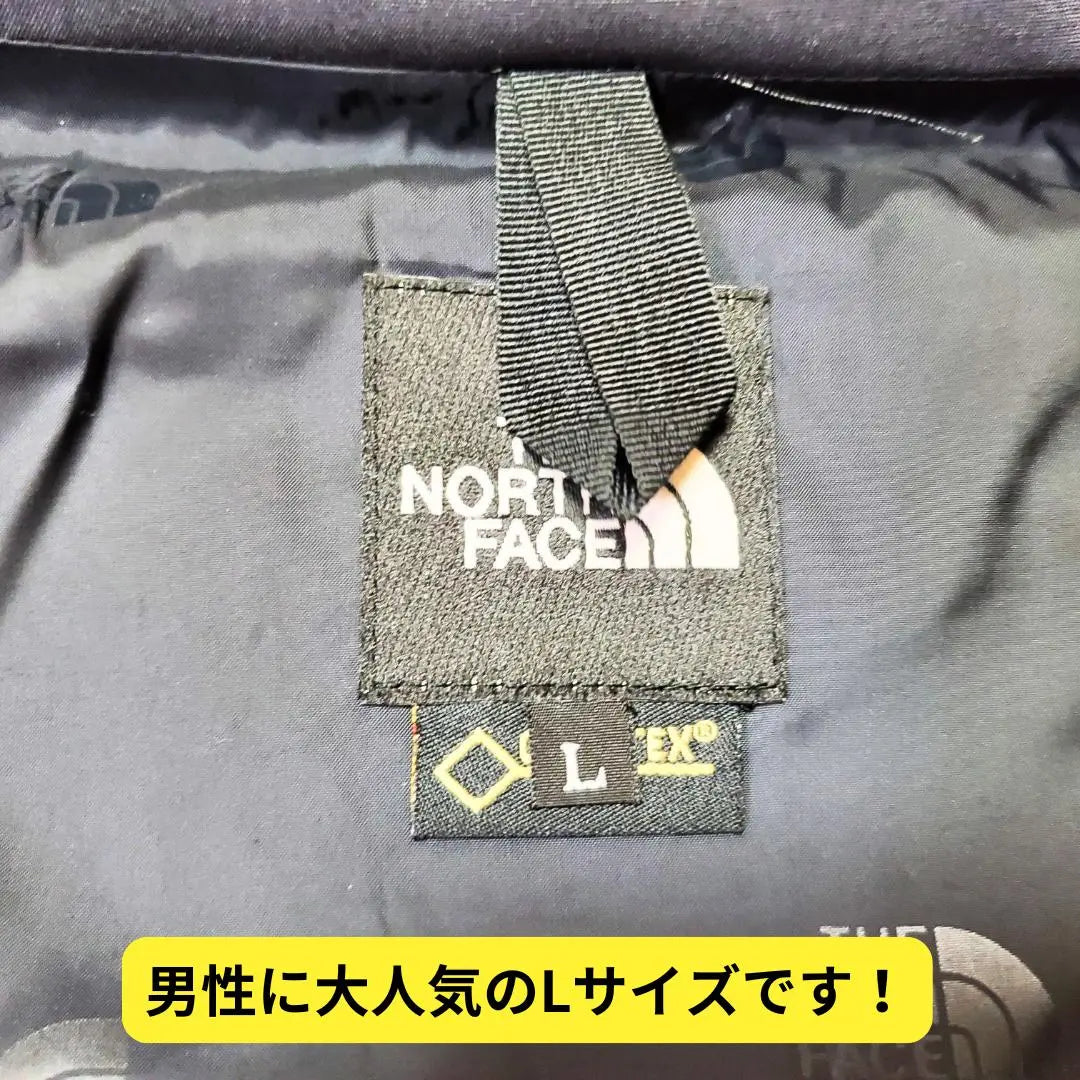 ⭐ Almost New The North Face RAGE GTX Shell Jacket