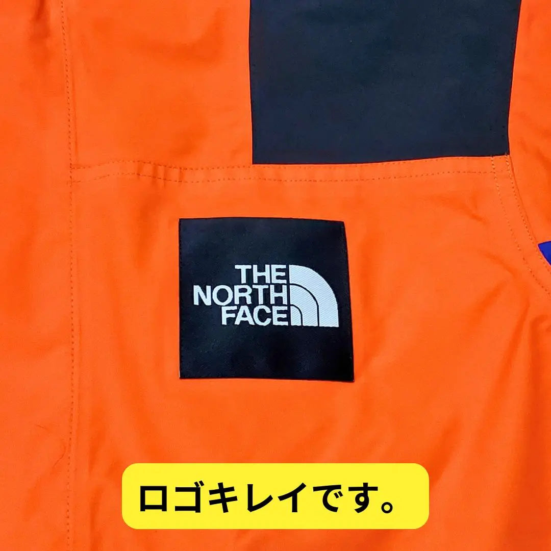 ⭐ Almost New The North Face RAGE GTX Shell Jacket