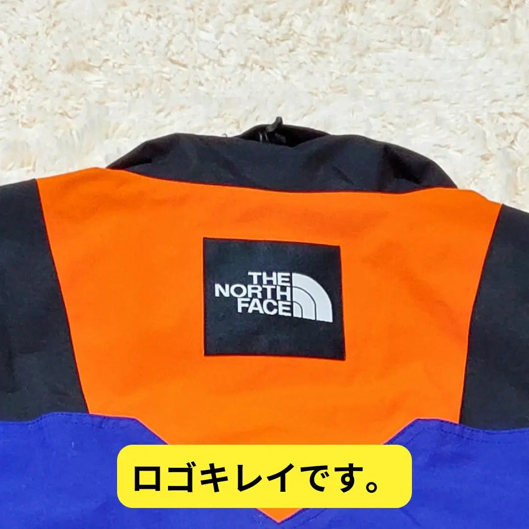 ⭐ Almost New The North Face RAGE GTX Shell Jacket