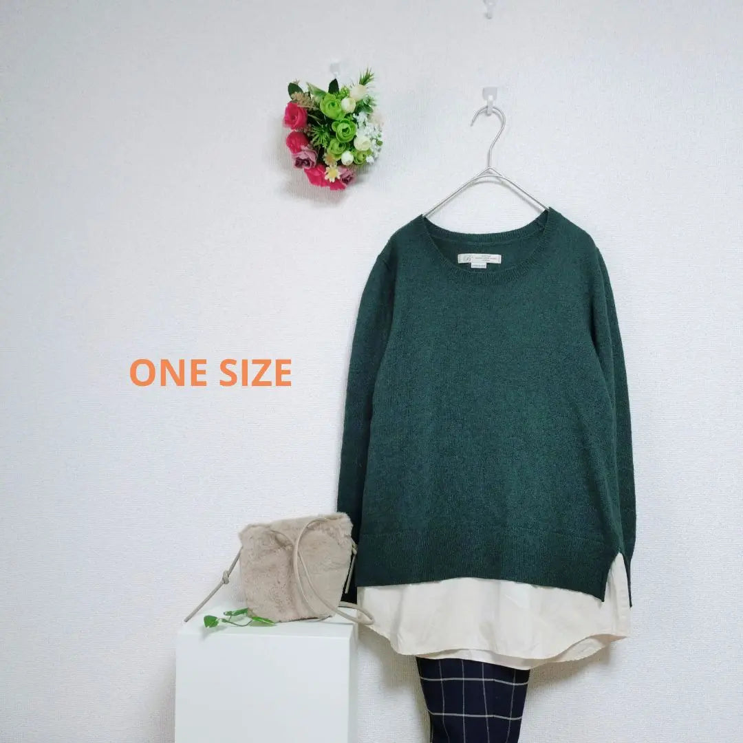 1048 [ONE SIZE] Beams Long Sleeve Knit Sweater Layered Style