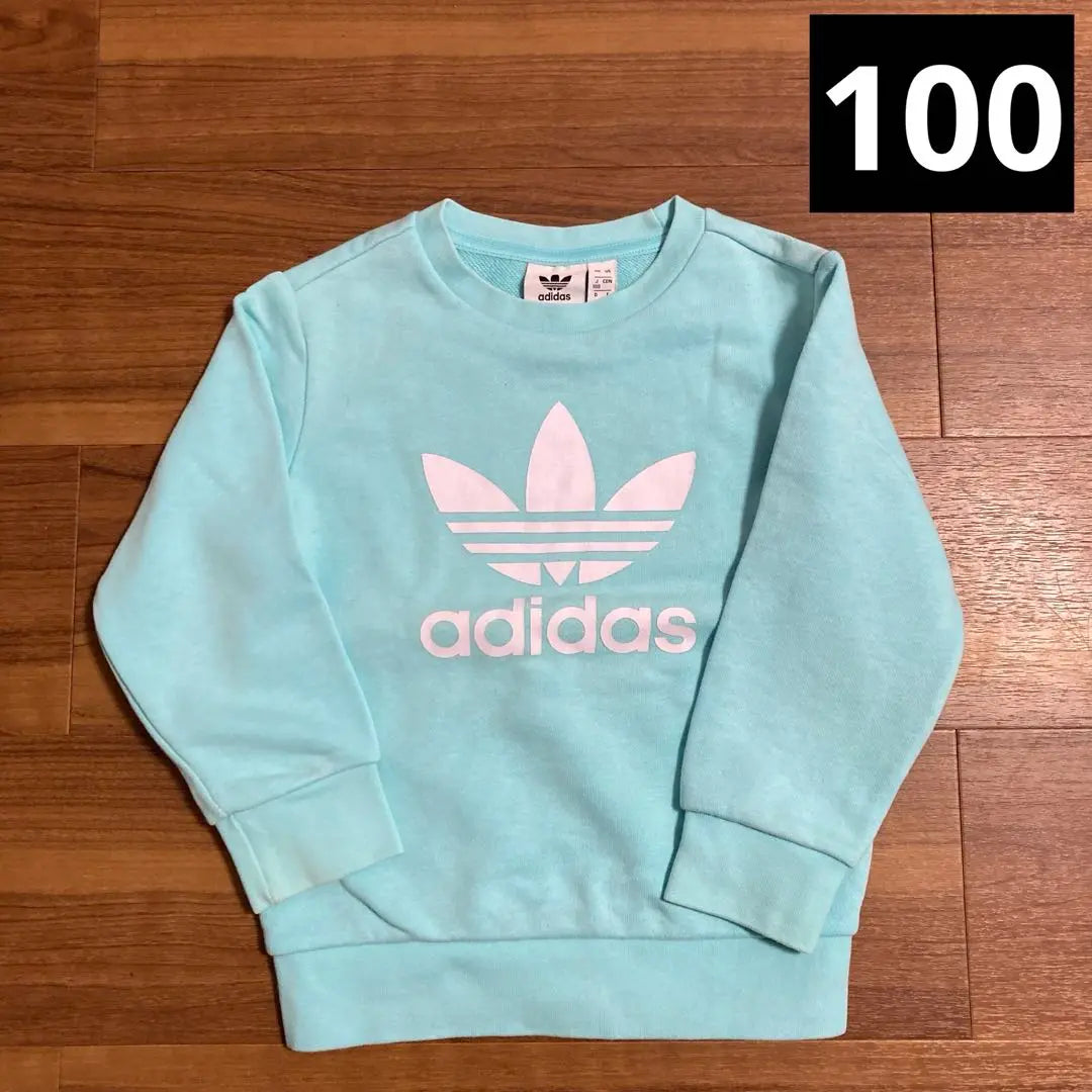 Adidas Originals Adidas Trainer 100cm Sweat | adidas originals アディダス　トレーナー 100cm スウェット