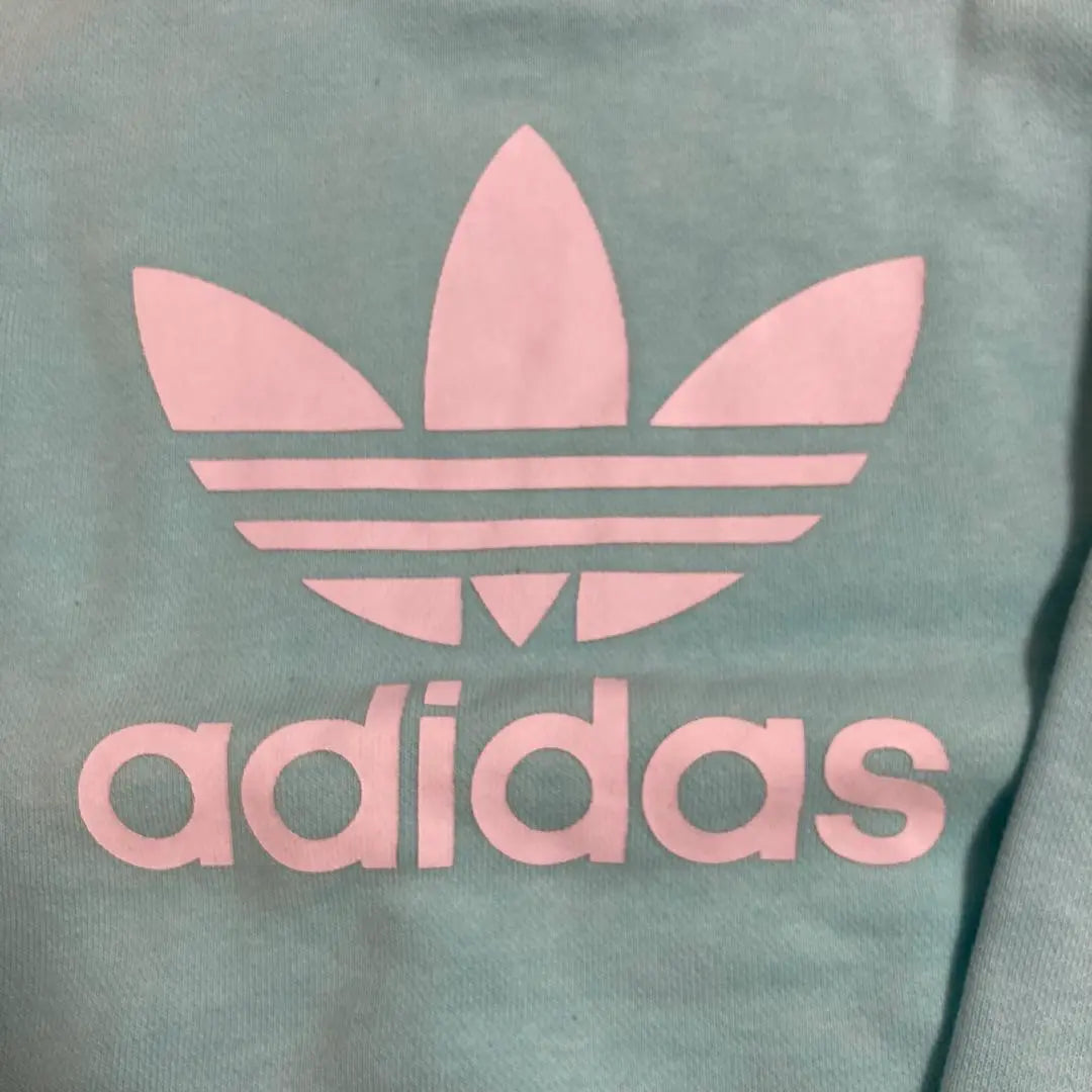 Adidas Originals Adidas Trainer 100cm Sweat | adidas originals アディダス　トレーナー 100cm スウェット