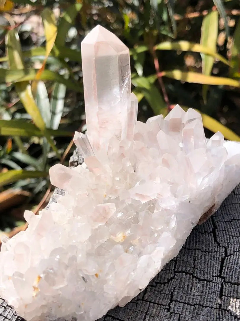 ❤️Rare, cute, strong power, transparency ￼￼Good, exquisite product, crystal cluster