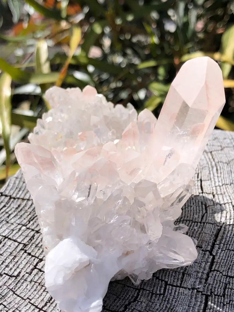 ❤️Rare, cute, strong power, transparency ￼￼Good, exquisite product, crystal cluster