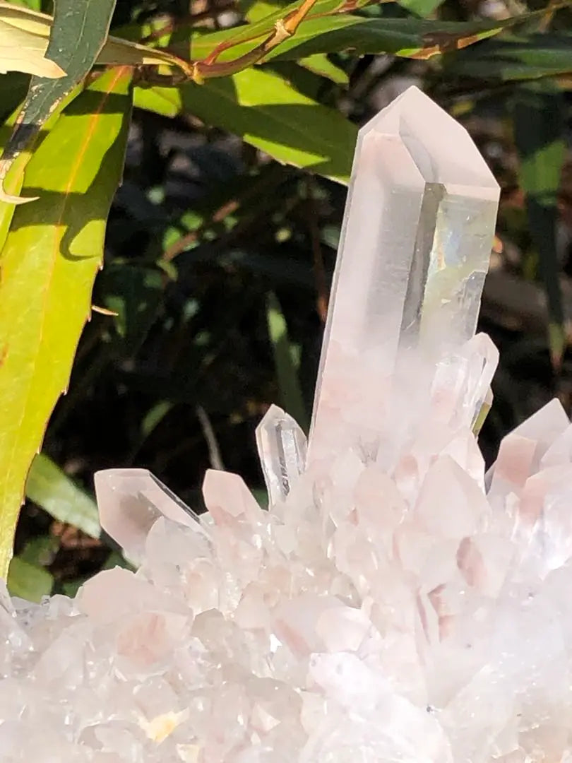 ❤️Rare, cute, strong power, transparency ￼￼Good, exquisite product, crystal cluster