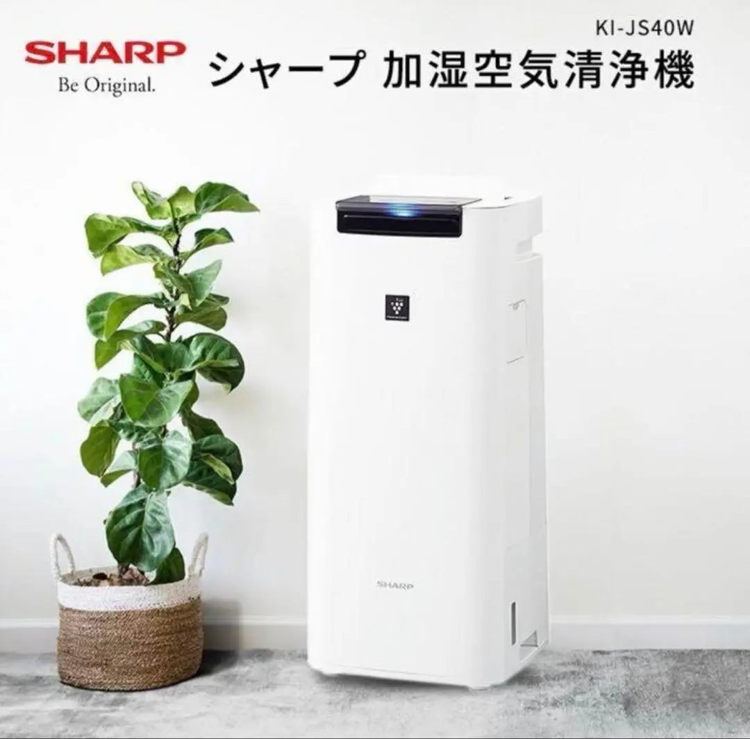 A comfortable life with beautiful air ✨ SHARP Humidifying Air Purifier KI-JS40 | 綺麗な空気で快適な暮らし✨ SHARP シャープ　加湿空気清浄機　KI-JS40