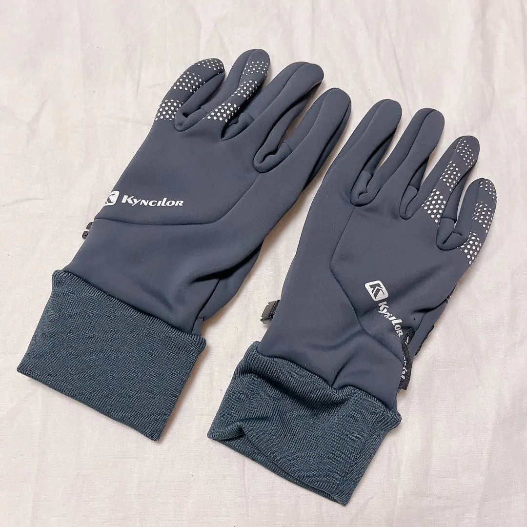 Men's gloves, cold weather gloves, smartphone compatible, fleece lining, non-slip, water repellent, L size, gray