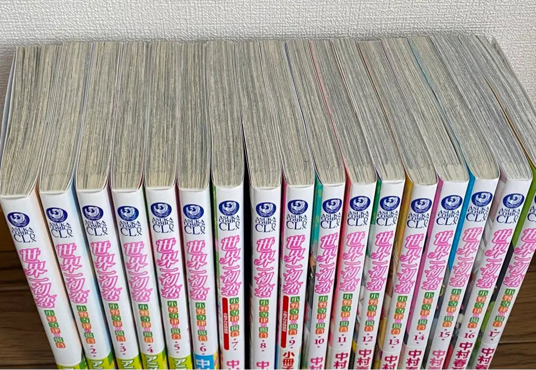 The World's Best First Love Volume 17 Set with Bonus