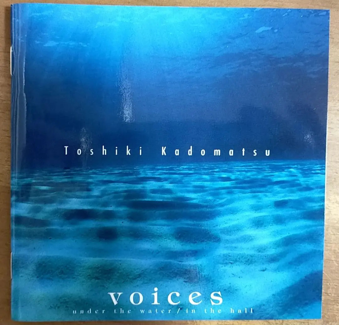 Kakumatsu Toshio/voices~ under the water/in the hall