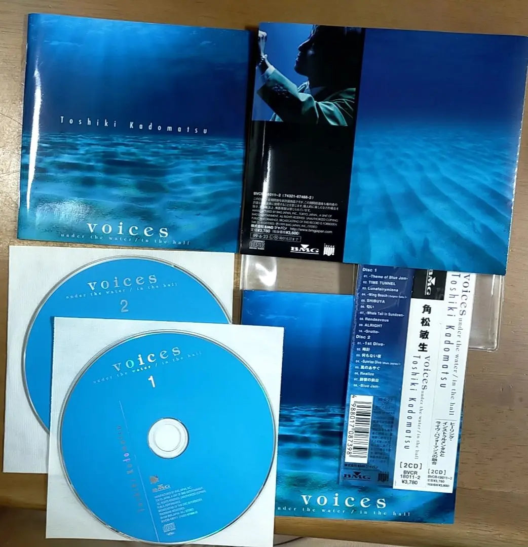 Kakumatsu Toshio/voices~ under the water/in the hall