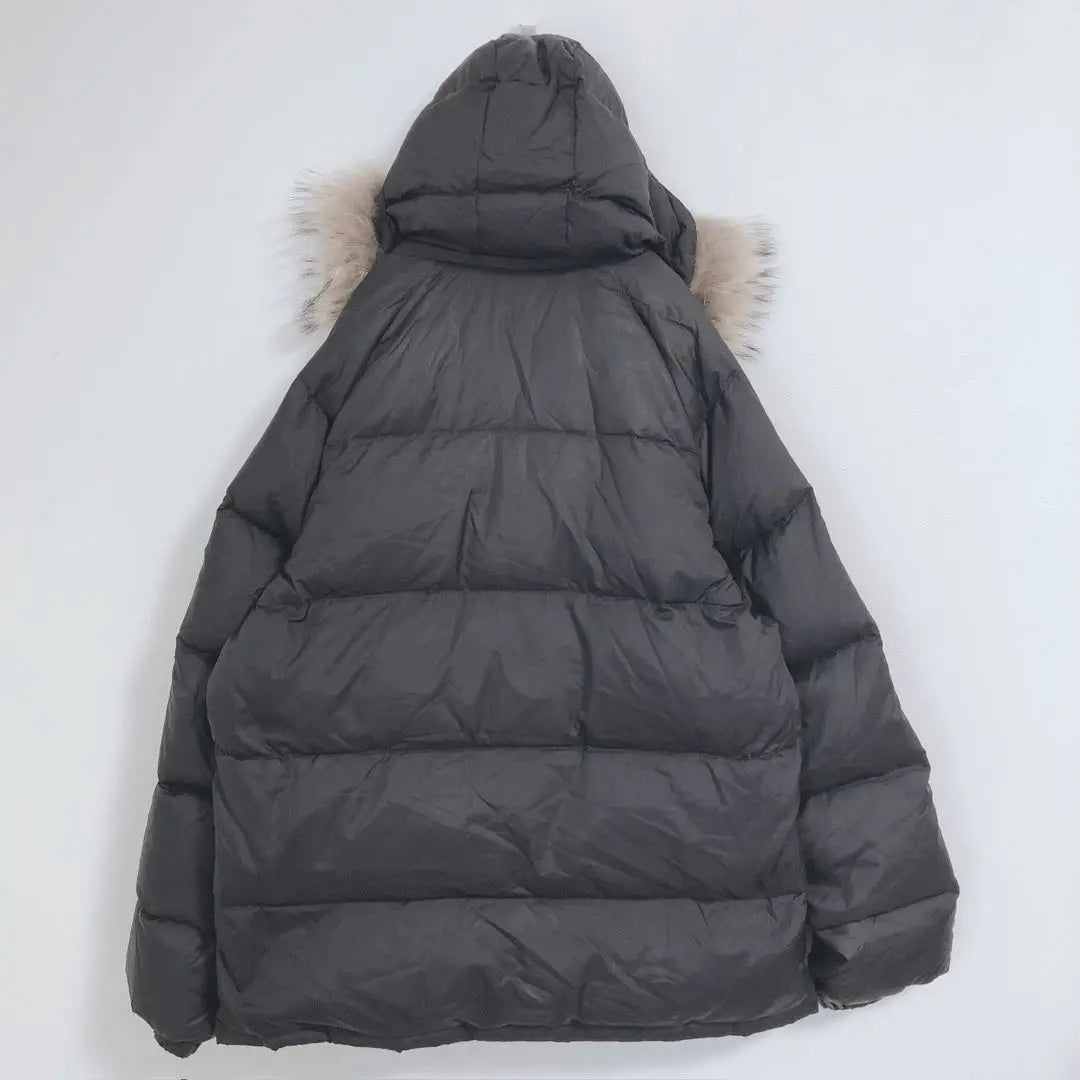 Pazzo Denim Store Down Jacket Raccoon Far Full Zip Hood L | パッゾデニムストア　ダウンジャケット　ラクーン　ファ－　フルジップ　フード　L