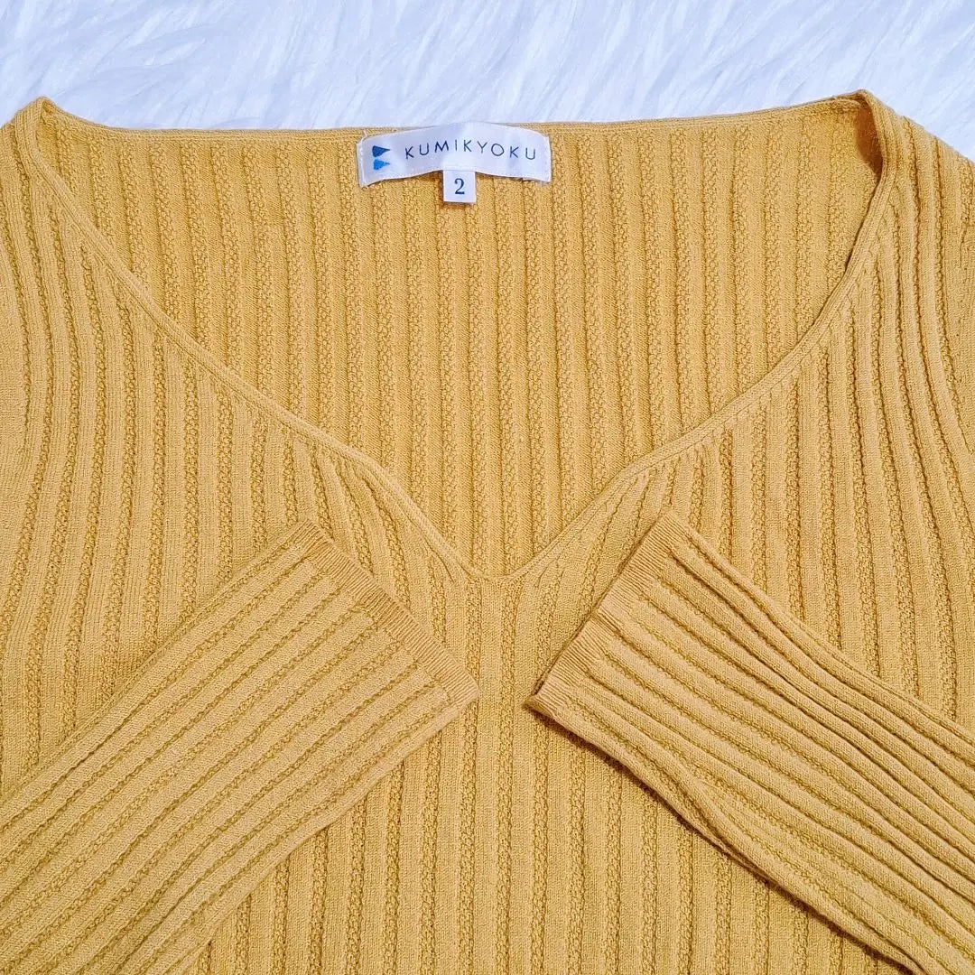 [Kumikyoku] V-neck knit, thin, long sleeves, mustard yellow 2