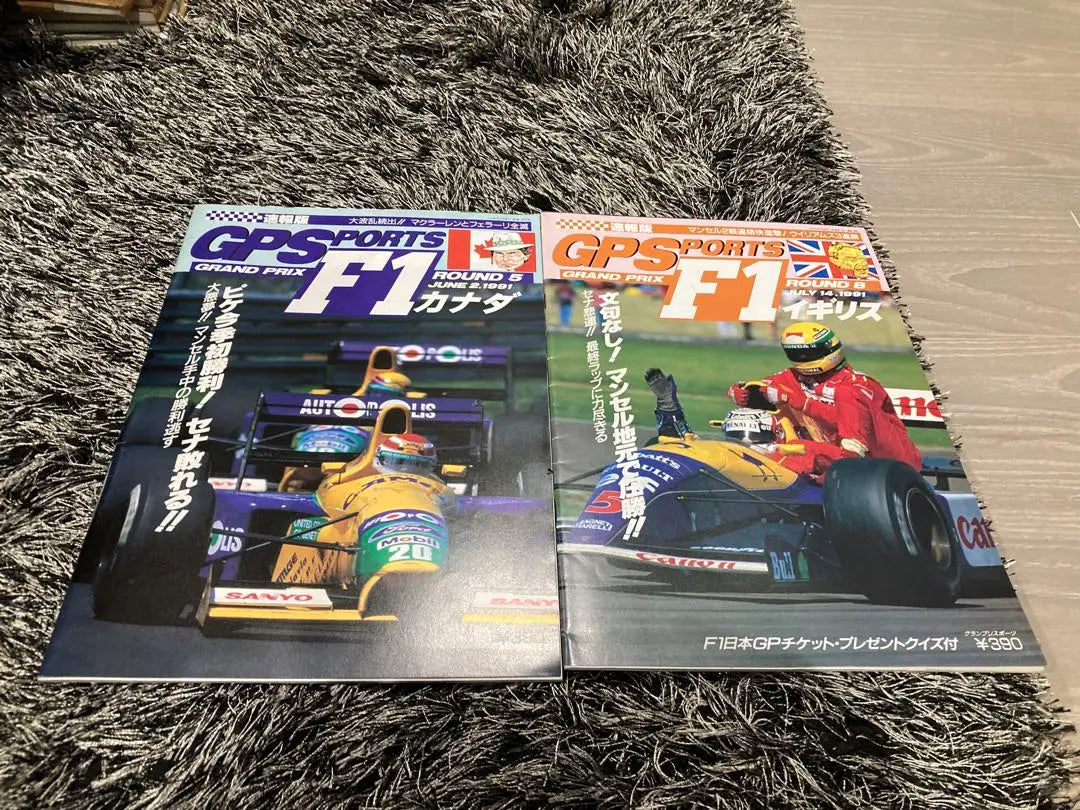 F1 Grand Prix Sports GPS 1991 12 books, 1 GPX