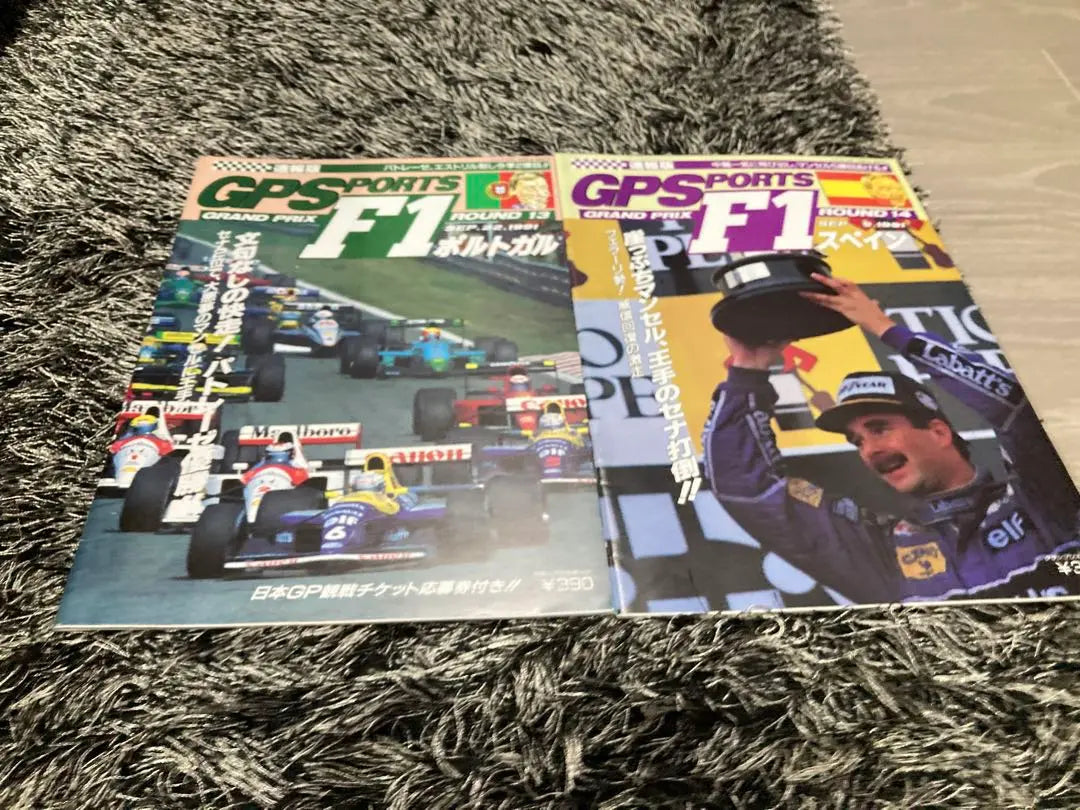 F1 Grand Prix Sports GPS 1991 12 books, 1 GPX