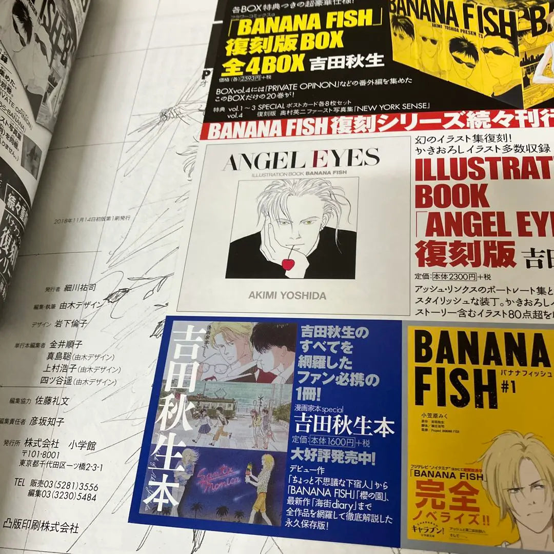 [With obi] Banana fish - Complete volumes, Official Guide, Paperback Edition, Another Story