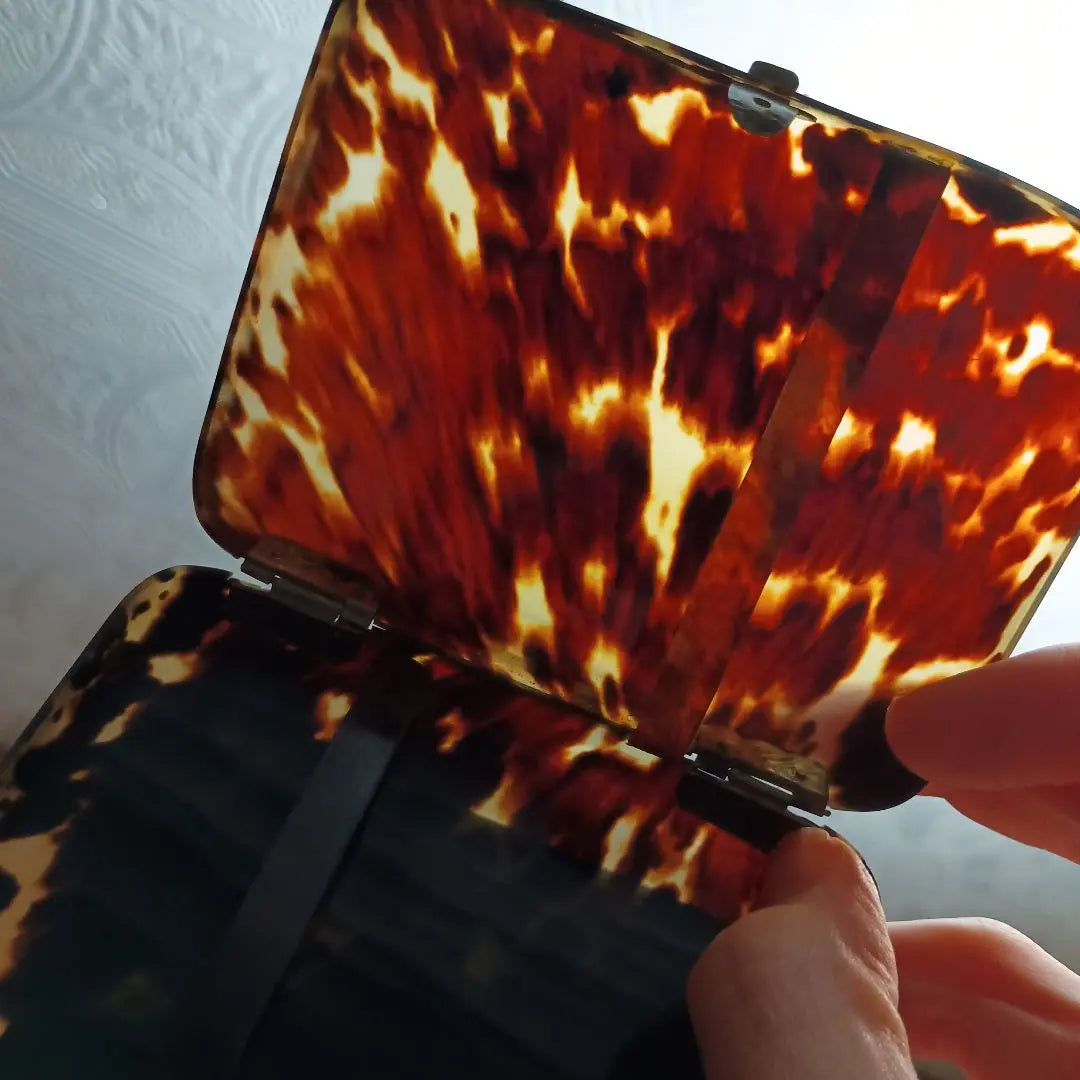 Tortoiseshell case tortoiseshell | べっ甲　小物ケース　鼈甲