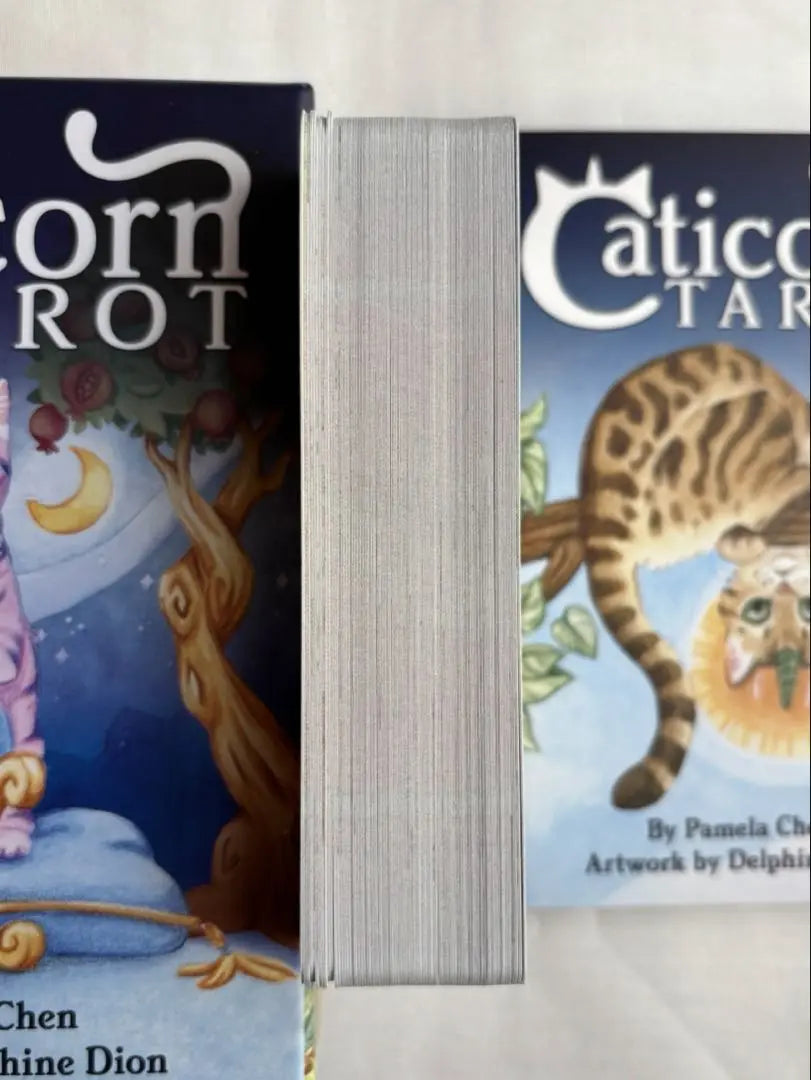 [Carta del Tarot] TAROT CATICORNIO | 【タロットカード】Tarot Caticorn