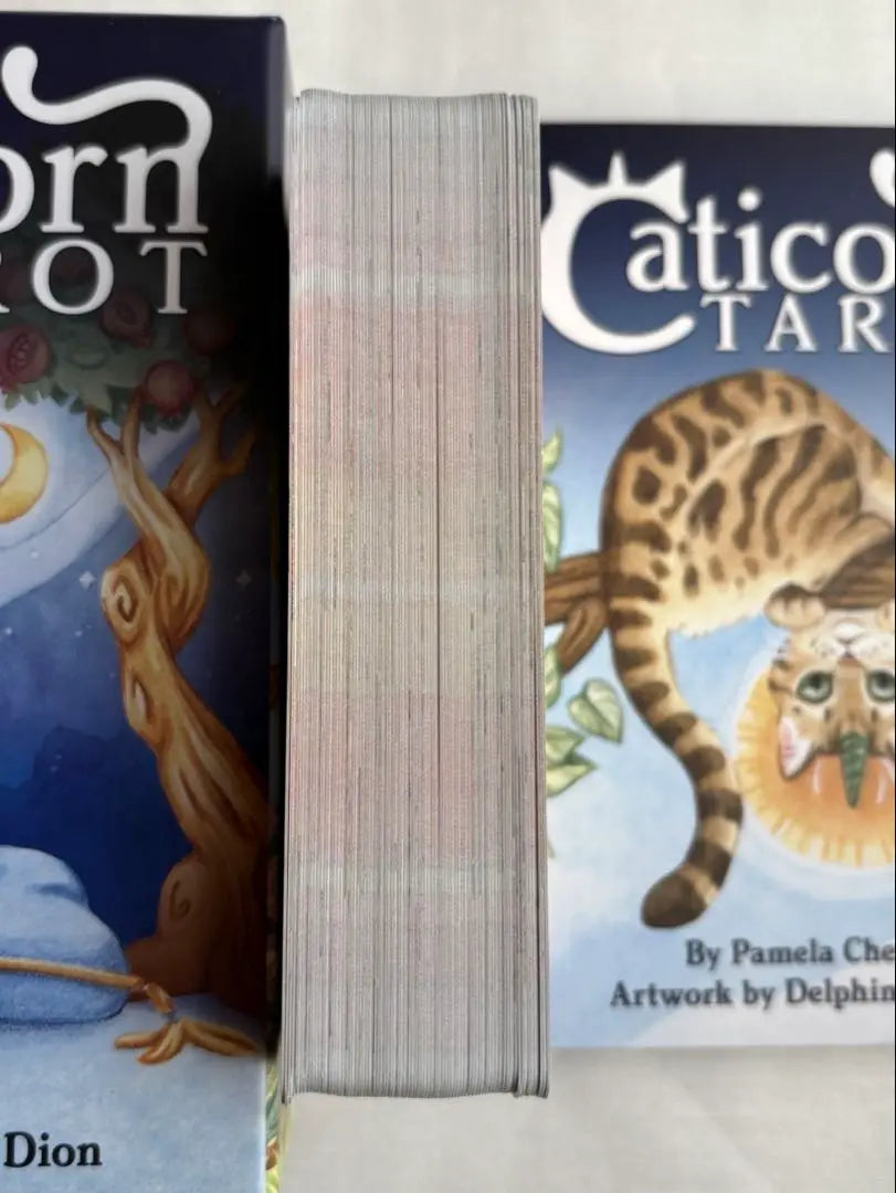 [Carta del Tarot] TAROT CATICORNIO | 【タロットカード】Tarot Caticorn