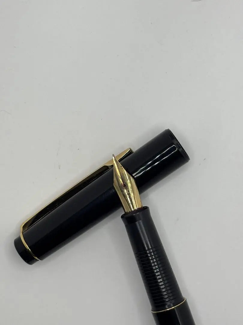 7. Pilot Fountain Pen