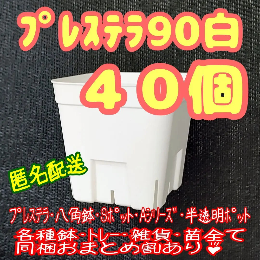 [Slit bowl] Prestera 90 White 40 White Succulent Plastic Plastic Pot