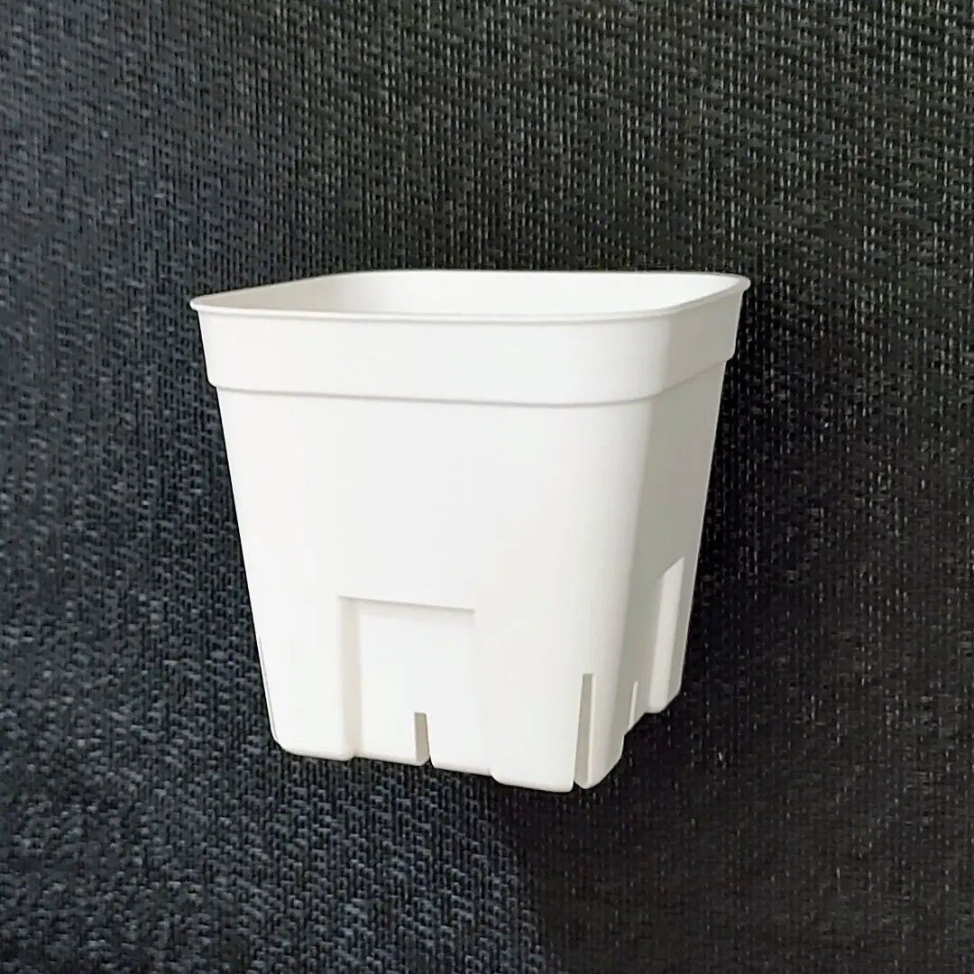 [Slit bowl] Prestera 90 White 40 White Succulent Plastic Plastic Pot