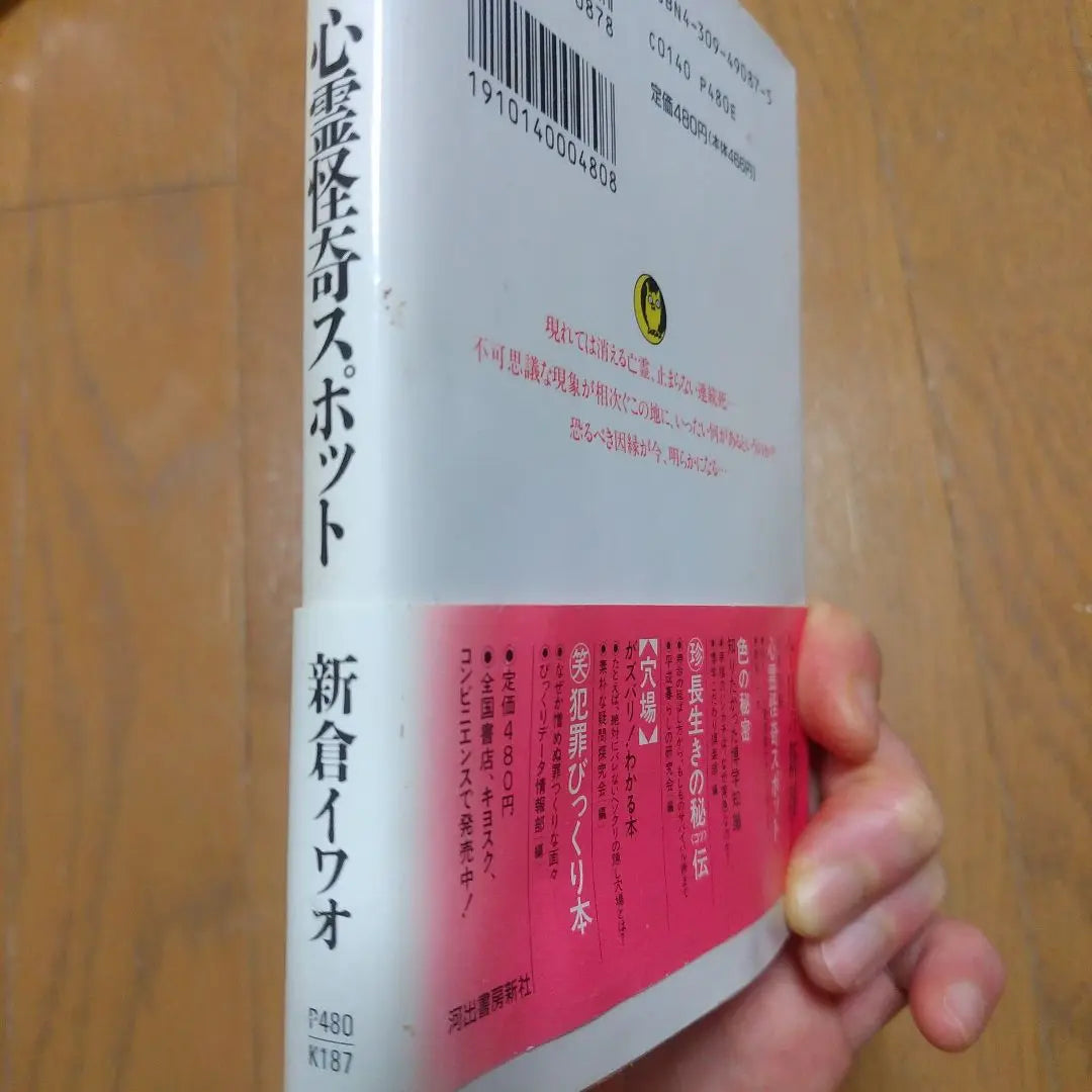 Historias espirituales del archipiélago japonés