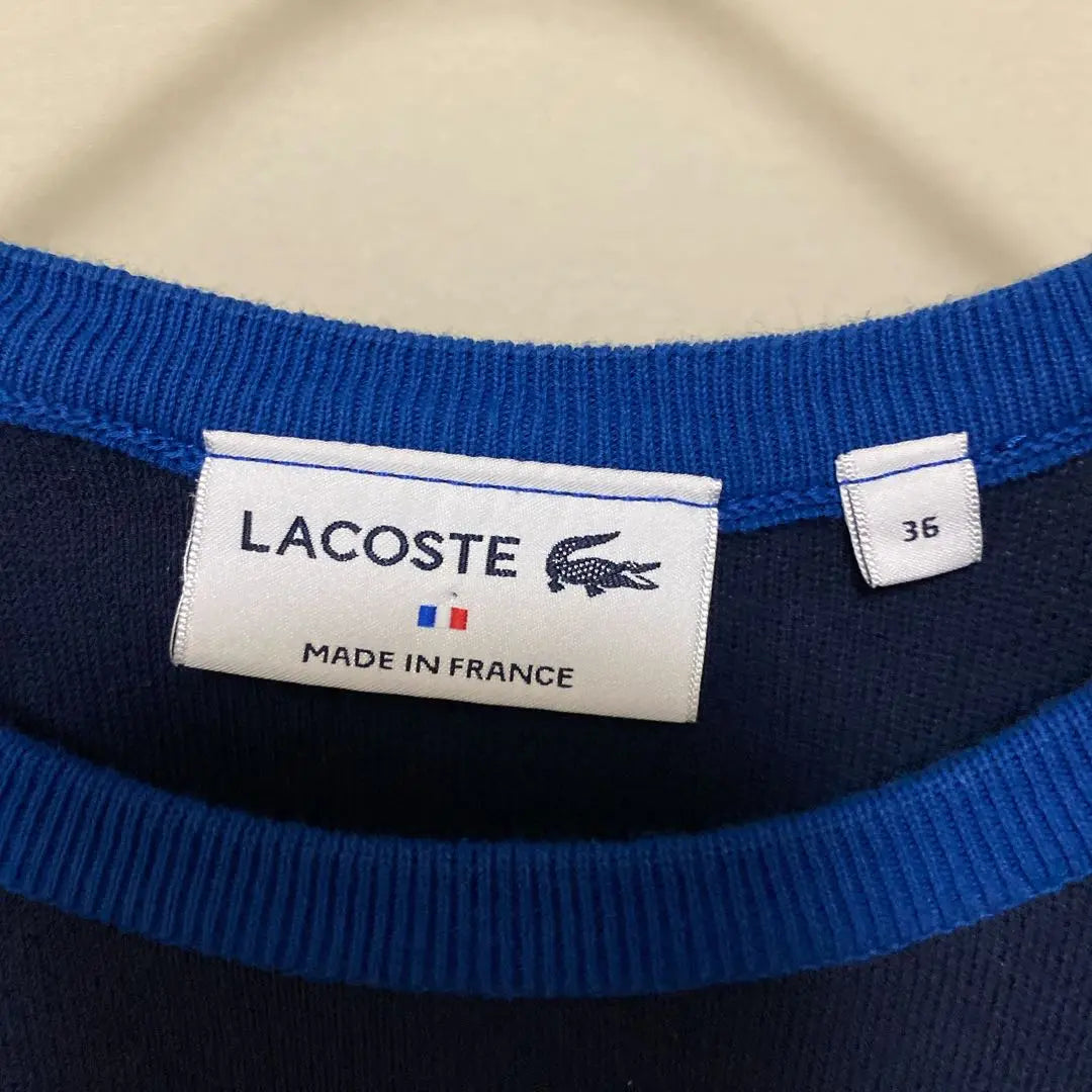 [Good condition] LACOSTE Color Block Crew Neck Sweater 36 S