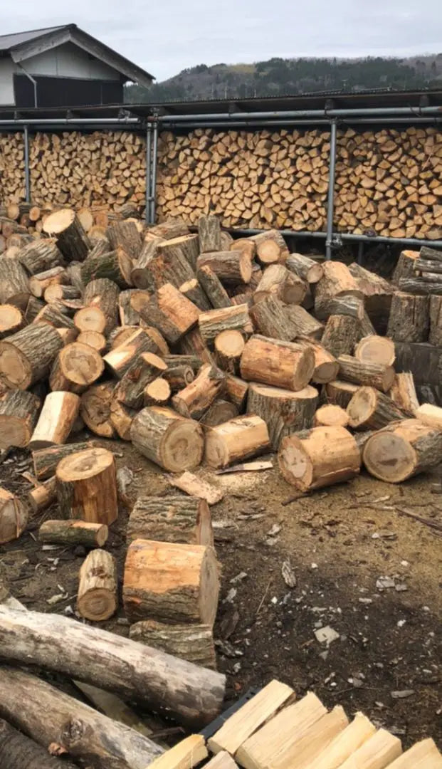 ♢ Camping support sale: 25kg of oak dried firewood, available with fire service