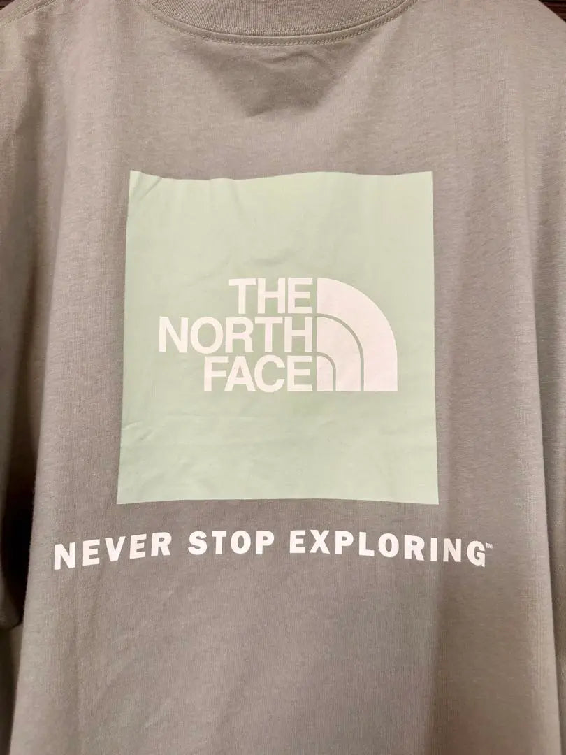 THE NORTH FACE North Face Long T USA Limited New Unused