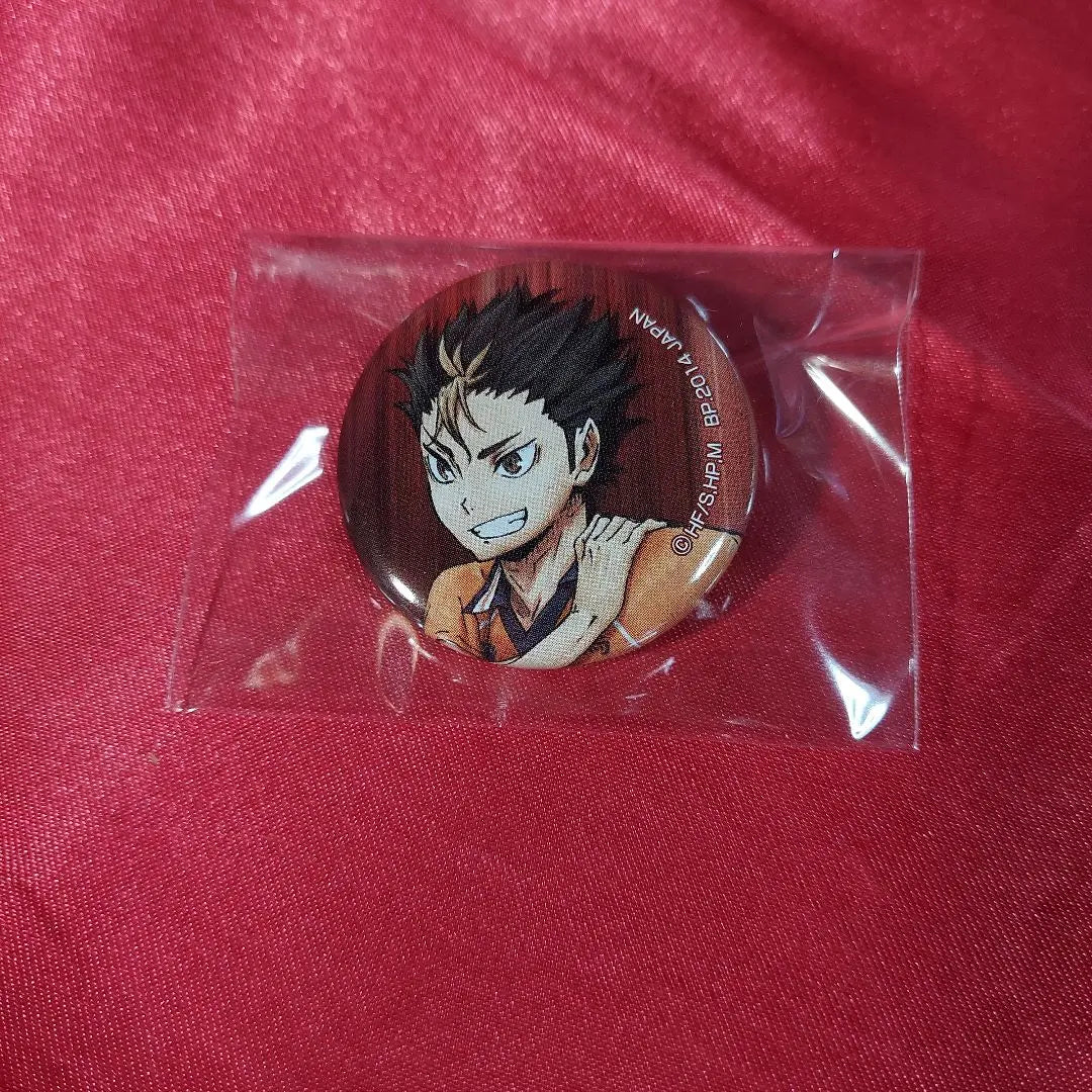 Nishitani Yu mini can badge Haikyu