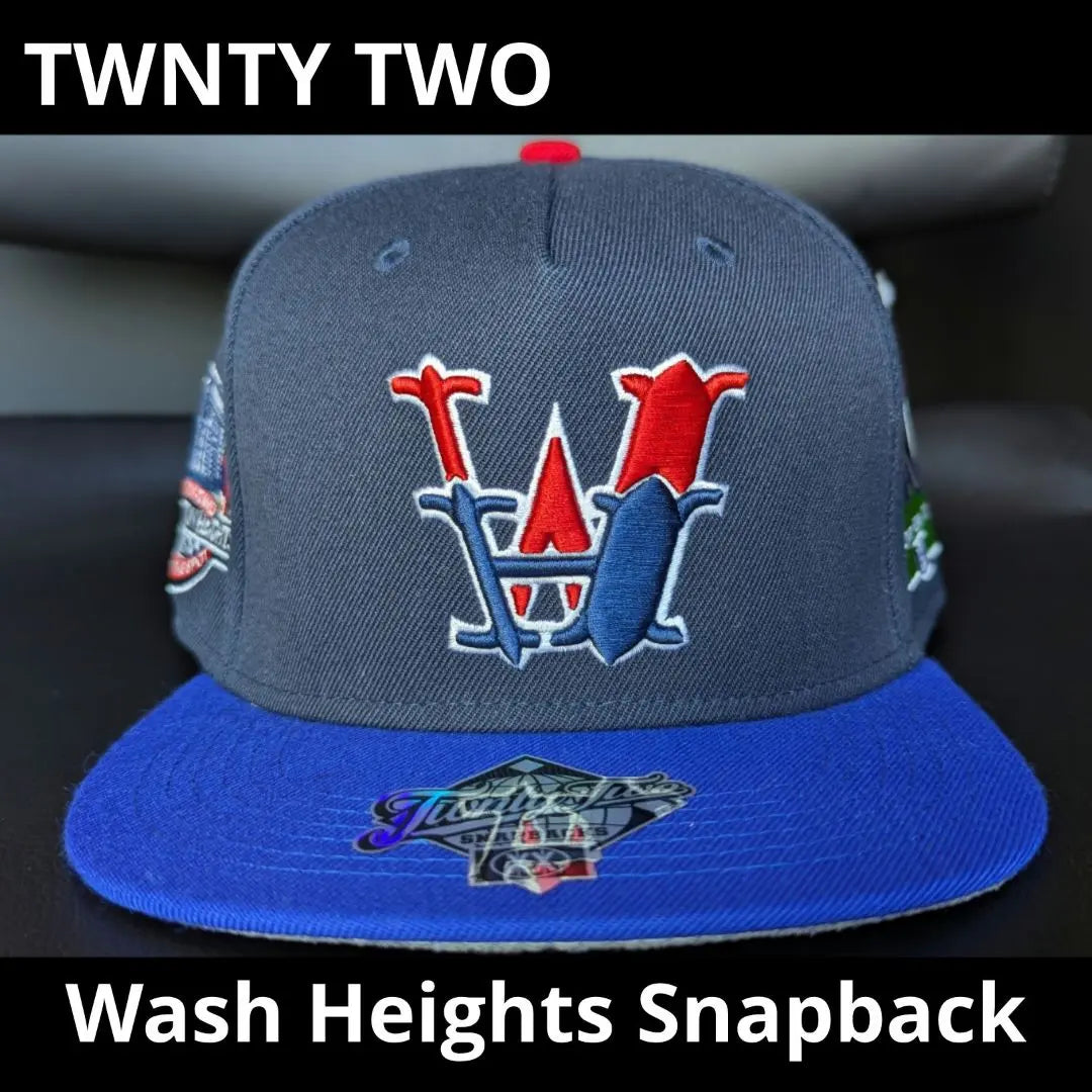 Gorra con visera ajustable Twnty Two Wash Heights en color azul marino