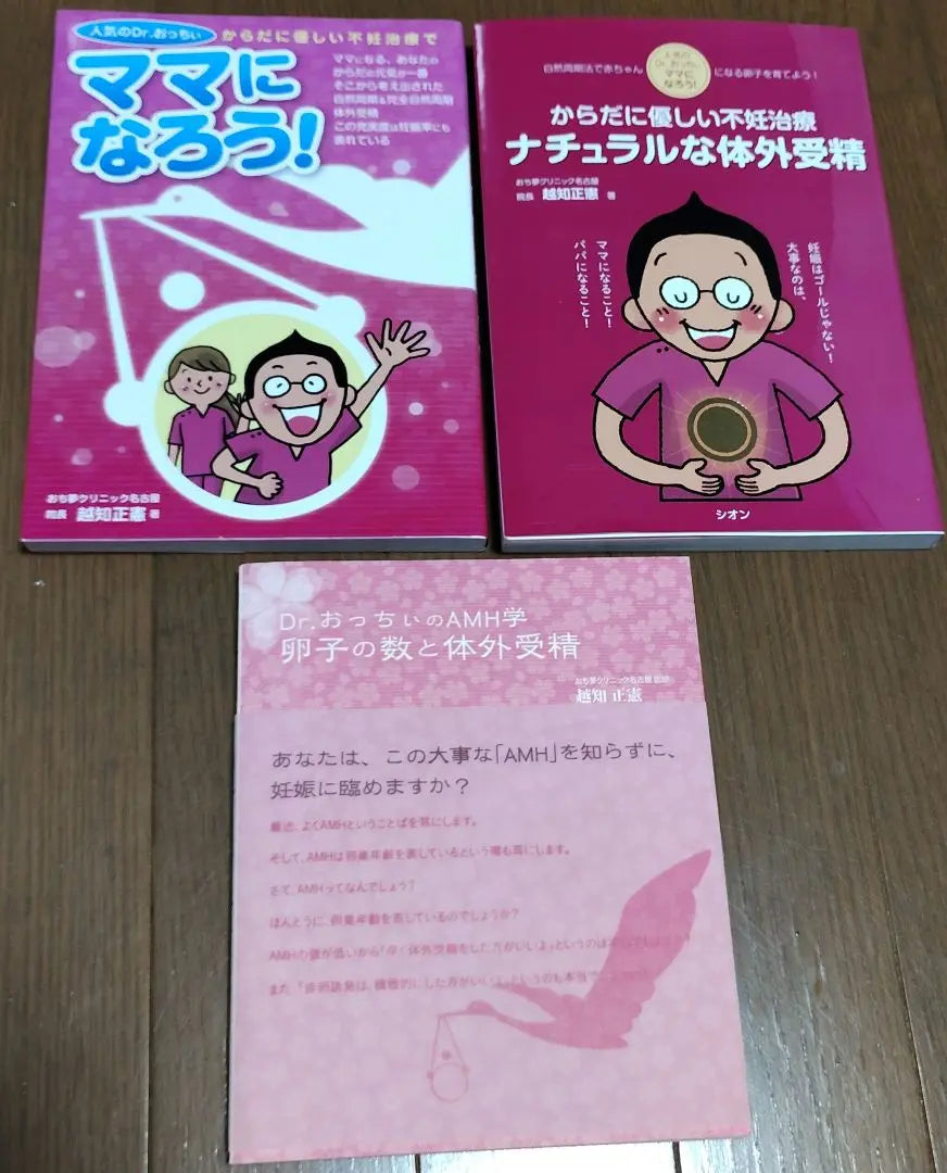 Pregnancy Infertility Treatment IVF AMH Guidebook Set