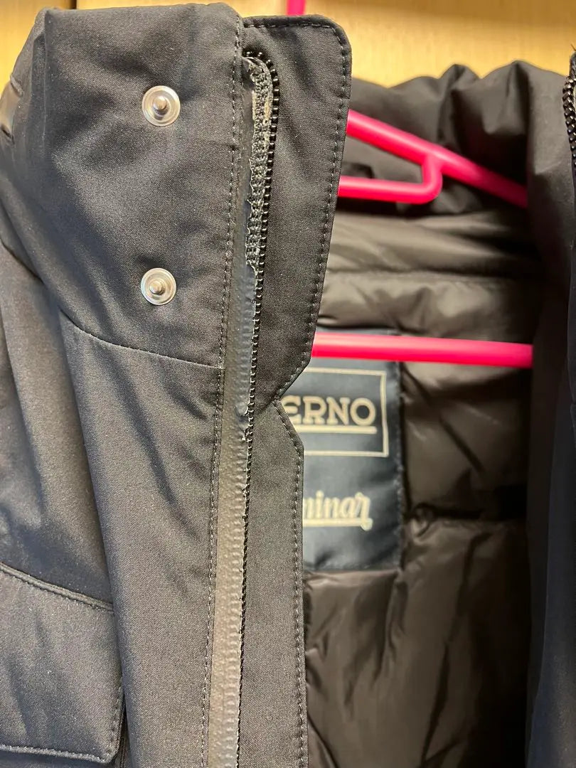 Official HERNO Laminar Gore-Tex Down Jacket