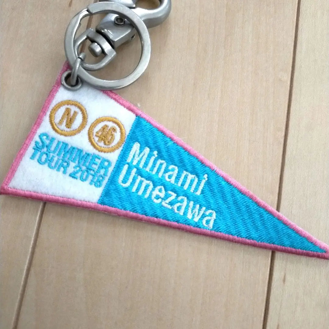 Nogizaka46 Umezawa Minami Keychain Set of 2