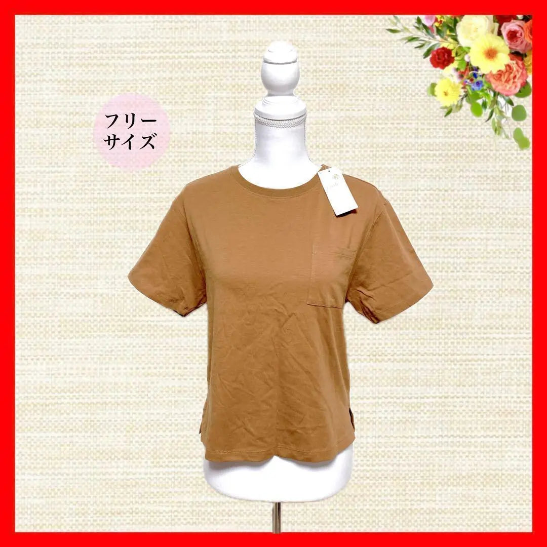 earth music&ecology tops cut and sew T-shirt short sleeve